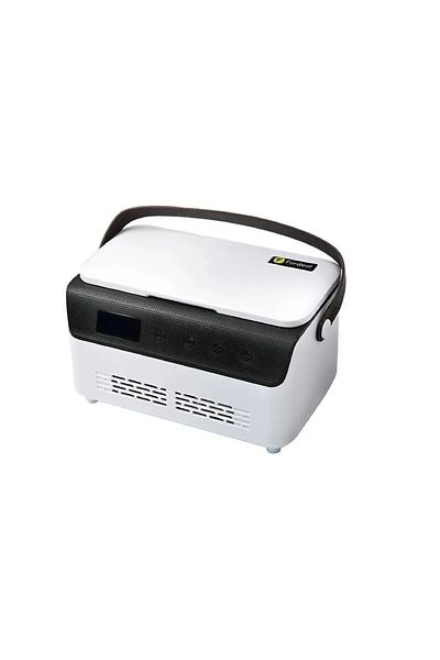 rexa Portable Mini Refrigerator with Leather Handle