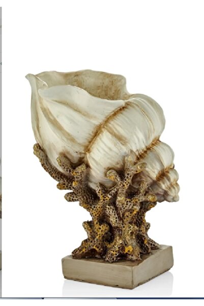 Dekoromi Dekoratif Deniz Kabuğu Mercan Biblo 24X28 CM