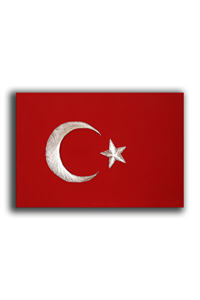 BİLGİMOLA FİLOGRAFİ TABLO TÜRK BAYRAĞI