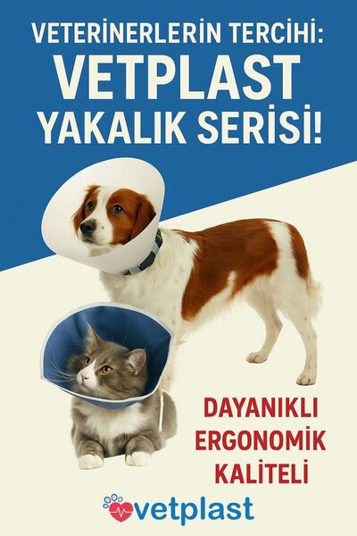 Kedi & Köpek Yakalık & Boyunluk Şeritsiz 30 Cm 1 Adet