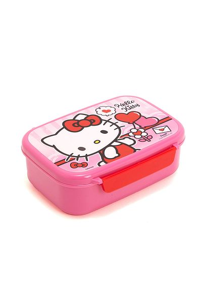 R&B Pink Bts Girls Lunch Box Fs