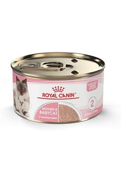 Royal Canin Mother & Babycat Ultra Soft Mousse in Sauce, 3 Ounce