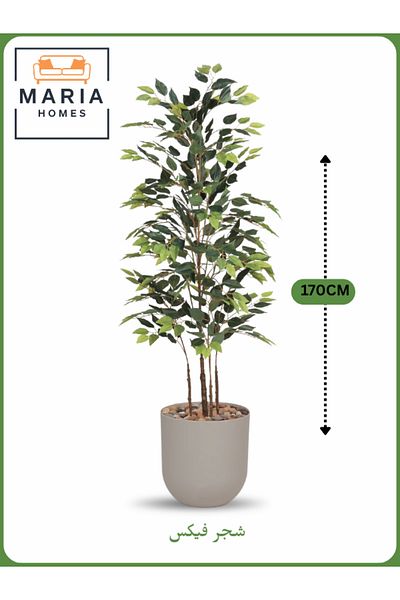 MARIA HOMES Artificial Ficus Tree 170 cm – Decorative Indoor Plant with Beige Pot