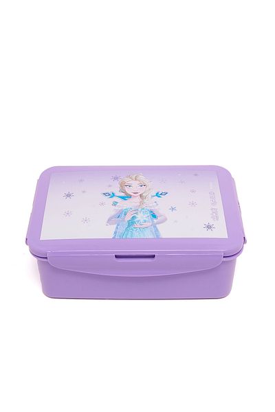 R&B Lilac Bts Girls Lunch Box F