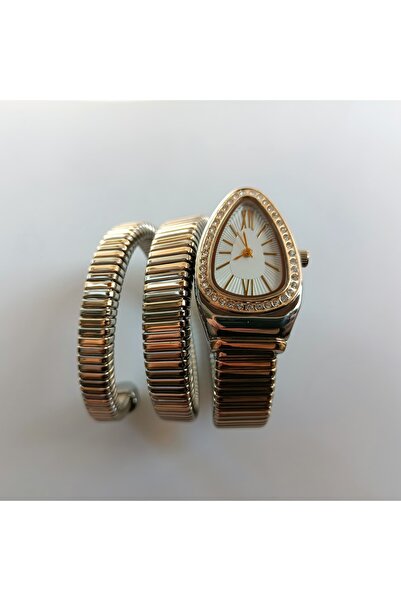 QUARTZ Snake Model Luxury Women's Wristwatch with Double Color Band