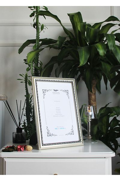 Raven Art Studio Louvre 21cm X 30cm Picture, Photo, Document, Poster, Document Frame. Protected Shatterproof Plexiglass