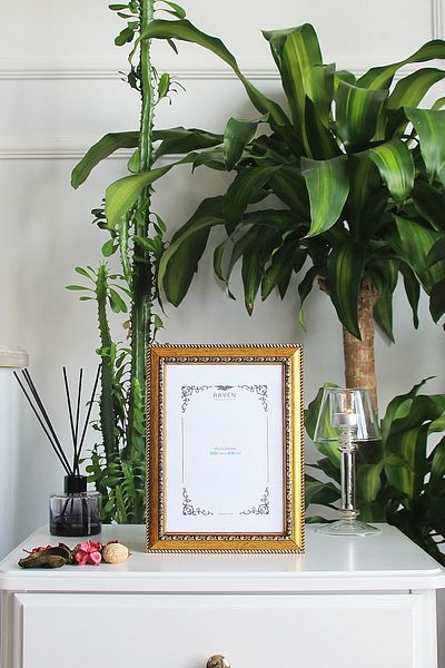 Raven Art Studio Louvre 15cm X 21cm Picture, Photo, Document, Poster, Paper Frame. Protected Shatterproof Plexiglass