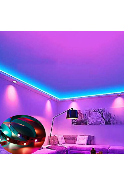 KARAKÖY LED SHOP Karaköy Led Shop - 24 Volt 5050smd 3çip IP20 İç Mekan 60Ledli RGB Pixel Şerit Led (10MT)