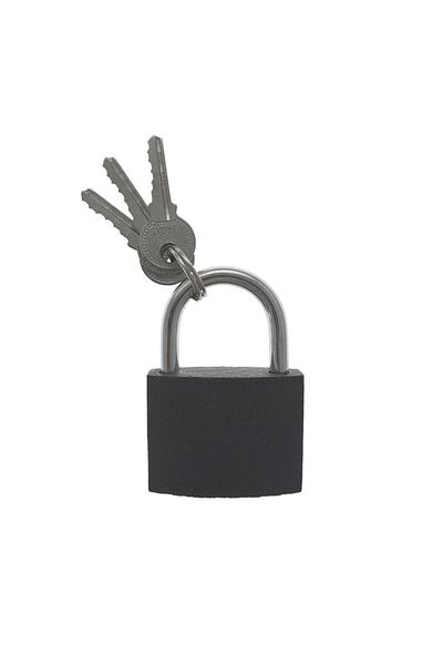 OEM Trois Circle LC50 padlock, steel, 50mm, 3 keys, grey