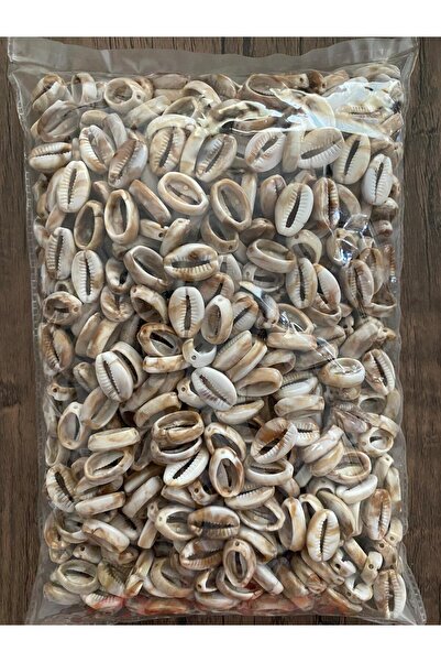 312 KONSEPT 25 τεμάχια πλαστικές χάντρες από κοχύλια θάλασσας