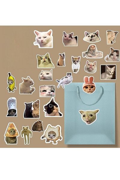 MS Major Selection Funny Cat/ Meme Cat Sticker Pack/Bullet Journal Notebook Sticker Agenda Laptop Sticker