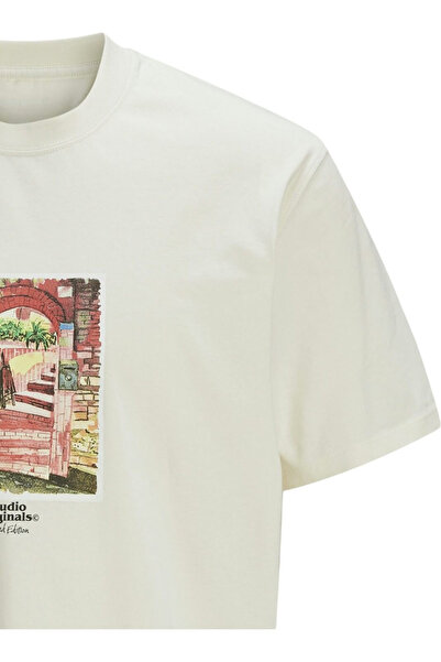 Jack & Jones Tricou JACK & JONES Paros Graphics Πρόσοψη - 12273494-Αντίκ Λευκό