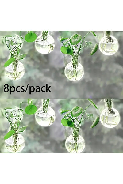 Choice 8 قطع مزهرية جدارية إبداعية نصف دائرية من الفئة، طبق زهور، نباتات، حوض أسماك مائي، جدار سمك