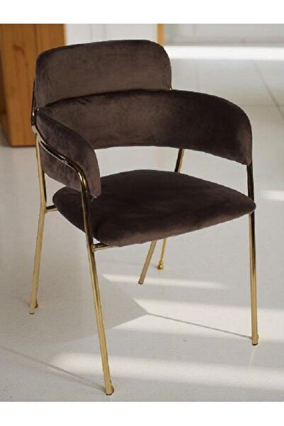 rexa كرسي عصري أنيق