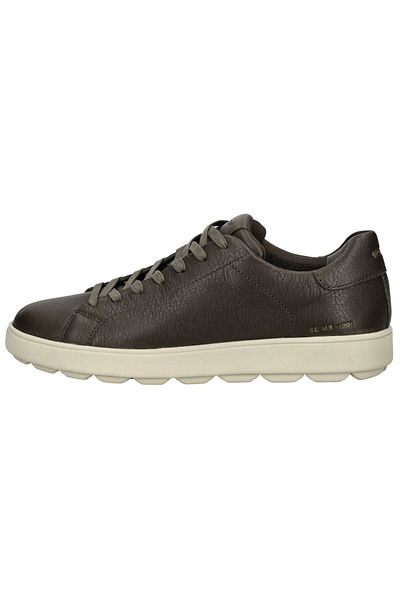 Geox Sneaker