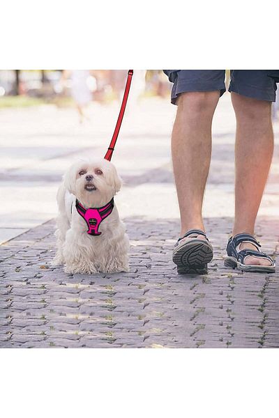MASBRILL dog leash, adjustable, nylon/metal, red, 150 x 2.5 cm