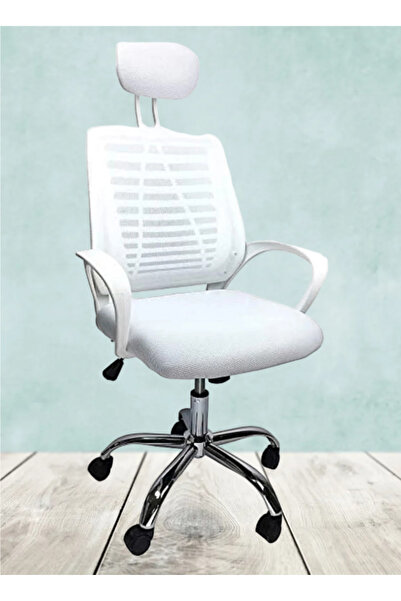 rexa Ergonomic Office Chair White