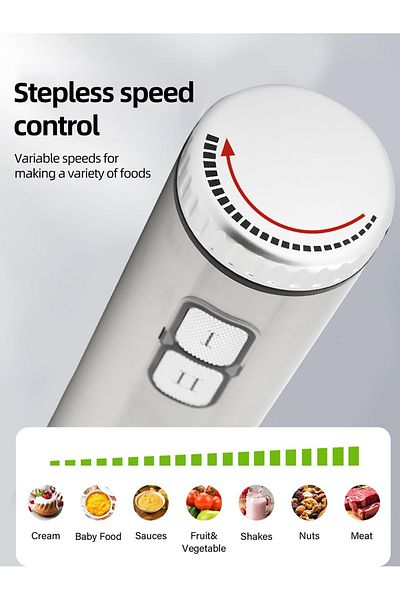 LAC LAICHY Hand Blender 1000W，2 Speed，Stainless Steel Blade，StepLess Speed Control，L-1202，Sliver