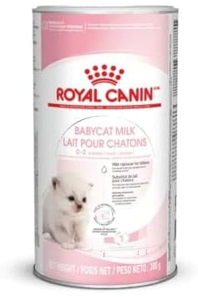 Royal Canin Milk for Newborn Cats - 300 grams