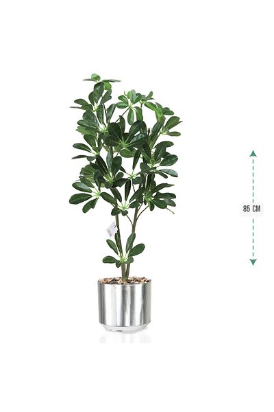 co arma Artificial Schefflera Plant in Green Plastic Pot