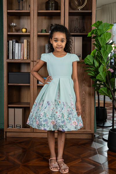 ddaniela فستان لولا الكلاسيكي للحفلات باللون الأخضر النعناعي من دانييلا