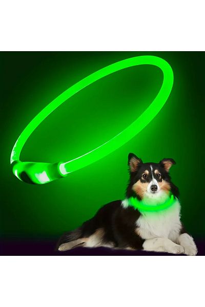 Choice M green Pet Dog LED Light Collar Luminous Anti-Lost Dog Collar USB Rechargeable Dog Necklace Collar