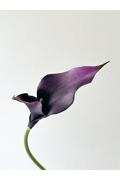 Choice 3pcs Dark purple 1/3pcs high quality artificial horseshoe lotus desktop flower arrangement wedding d