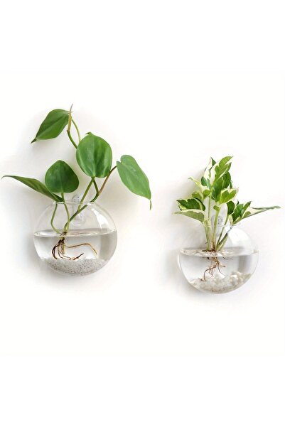 Choice عبوتان (2/4/6) من تيراريوم زجاجي معلق على الحائط - أصيص مائي ذاتي الري لتزيين المنزل والمكتب