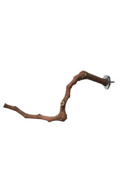 Choice 1- Cage Perches Pet Budgie Wood Parrot Bird Stand Tree Branch Hanging Toys