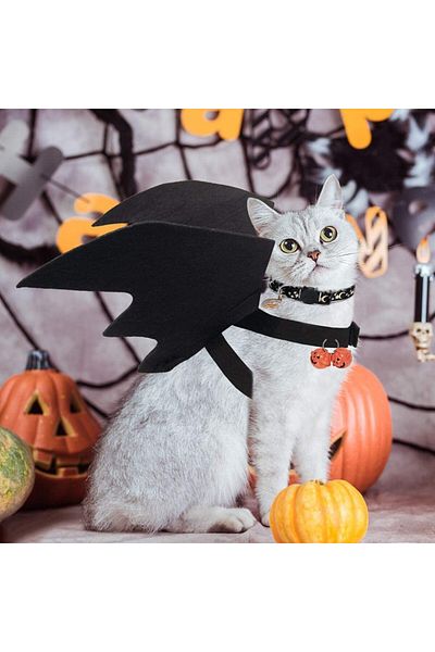 DAZZTIME pet Halloween costume, felt, black, 48 x 20 cm