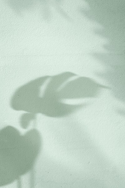 Harikabirev Amazing | Green Leaf Shadow Elegant Model G2 | Framed Tempered Glass Table Single Vertical