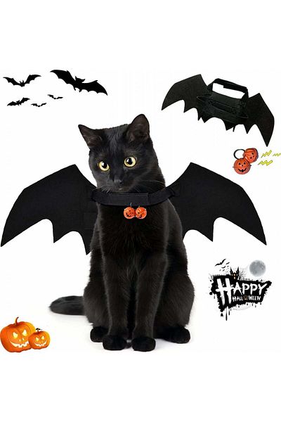 DAZZTIME pet Halloween costume, felt, black, 48 x 20 cm