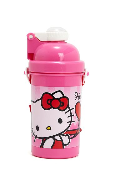 R&B Pink Bts Girls Water Bottle Fs