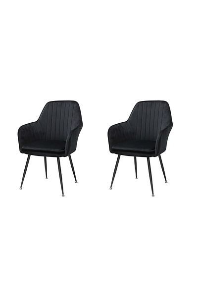 ARTA DOOR Set of 2 Coral Chairs, HoReCa, Kitchen, Living Room, Office, Bedrooms, Hallways