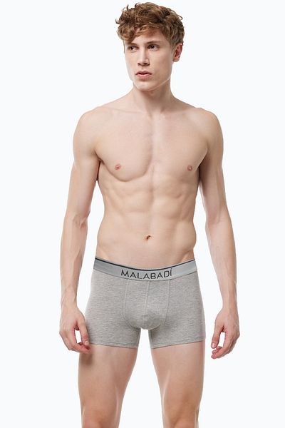 Malabadi Men's Gray 6-Piece Premium Collection Modal Boxer 6m252