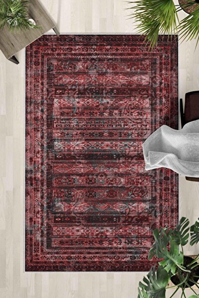 Monnhein Covor lavabil cu bază anti-alunecare – Covor modern cu imprimare dig...