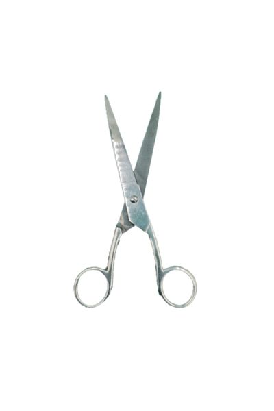 dalimag Professional Hairdressing Scissors, Stainless Steel, Normal, Silver, 20 cm,