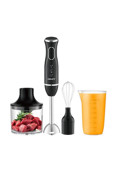 HALEY 4-in-1 Electric Hand Blender, 1600W, Stainless Steel, 2 Speeds + Accessories – Chopper