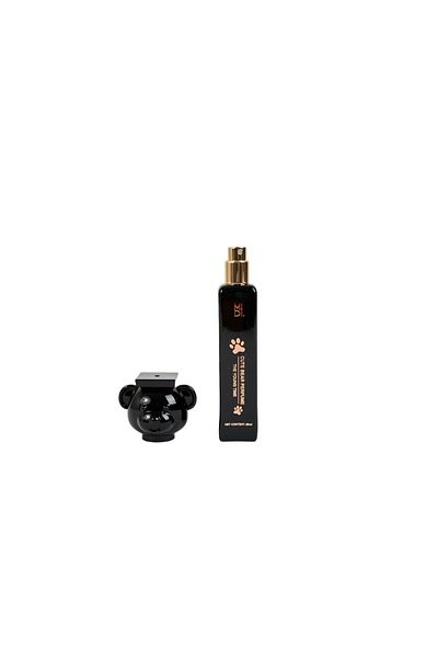 Midi 20ml bear perfume (the young time)