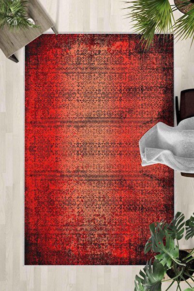 Monnhein Non-Slip Base Washable Carpet – Modern Digital Printing Carpet for K...