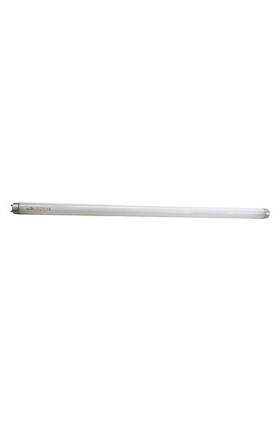 ACE 20W Replacement Lamp Bulb for Electric Insect Killer