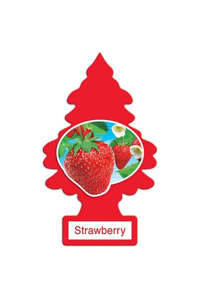 Little Trees 3-Piece Traditional Air Freshener Hang Card