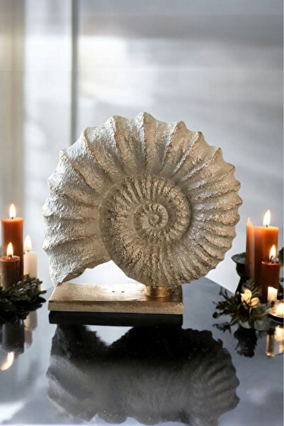 Harmoni Art Dekoratif Salyangoz Biblo