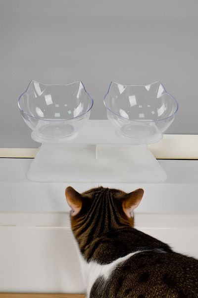 Yapay Çiçek Deposu Transparent Plastic 2 Stone Cat Food and Water Bowl