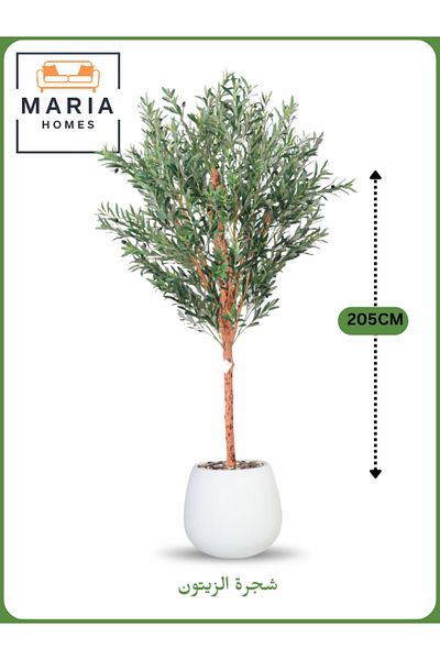 MARIA HOMES Artificial Olive Tree 205 cm – Tall Decorative Indoor Tree with White Pot
