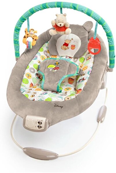 Bright Starts Disney Baby Winnie the Pooh Baby Bouncer Soothing Vibrations De...