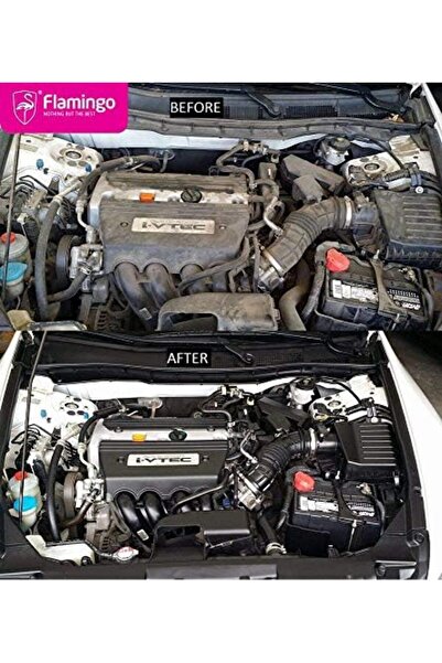 Flamingo Non-Foaming Engine Degreaser Cleaner F009 by Car Care Tech, Polisher, 500 ml