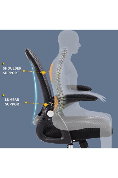 AGD Ergonomic Office Chair with Mesh Back, Adjustable Swivel Computer Chair, Padded Seat, Flip-up Arms,