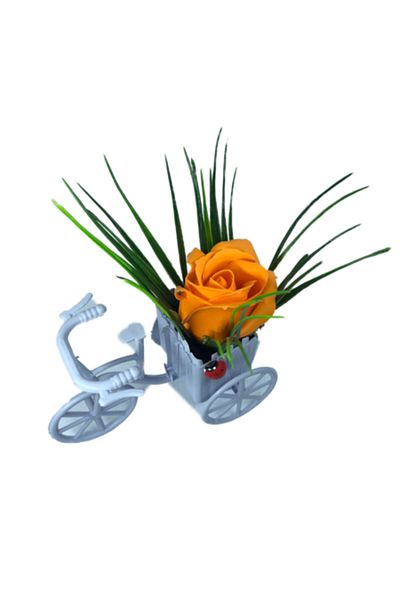 dalimag Floral Arrangement, Purple Bicycle with Orange Scented Rose, Ladybug, by