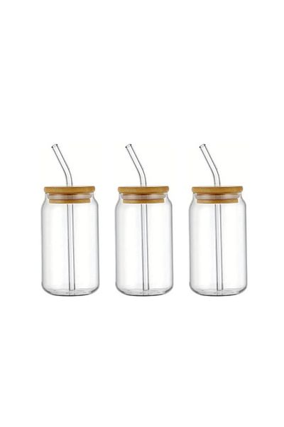Bisbell 3pcs Glass Mason Jars,Drinking Glass with Bamboo Lids and Glass Straw- Glass Tumbler,500ml